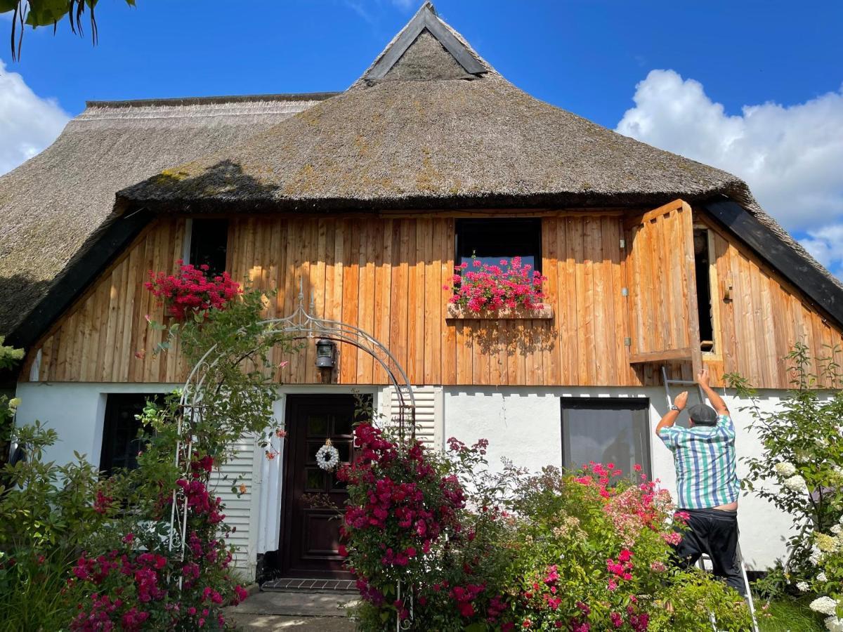 Tiny House Ostsee # Naturwerk Pruchten ภายนอก รูปภาพ