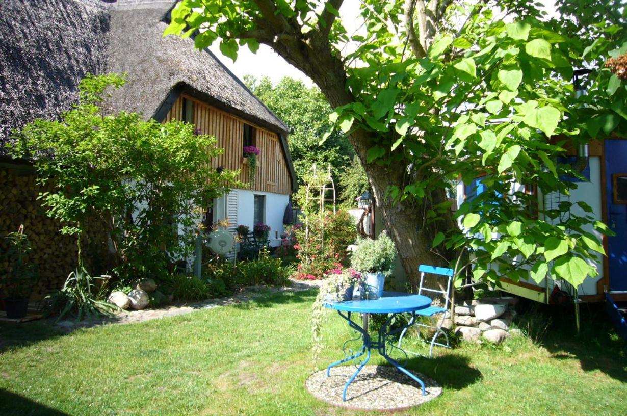 Tiny House Ostsee # Naturwerk Pruchten ภายนอก รูปภาพ