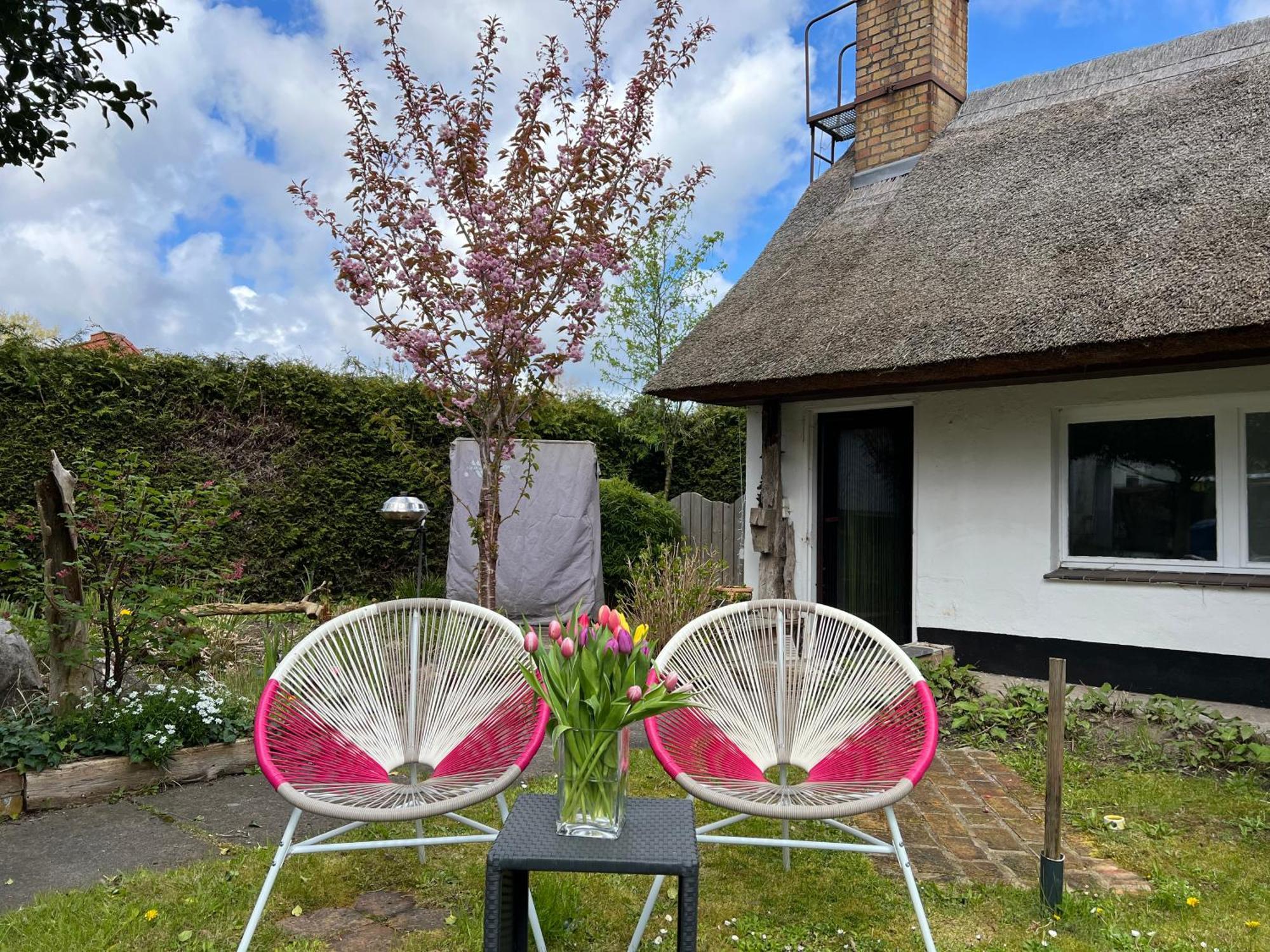 Tiny House Ostsee # Naturwerk Pruchten ภายนอก รูปภาพ
